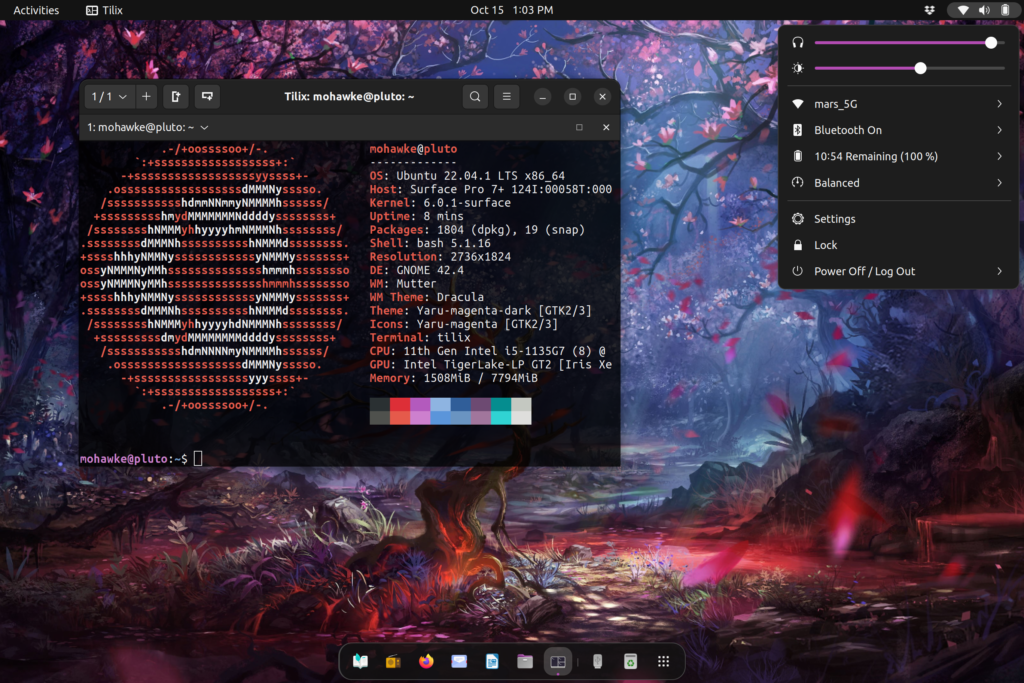 screenshot of surface pro 7plus running ubuntu